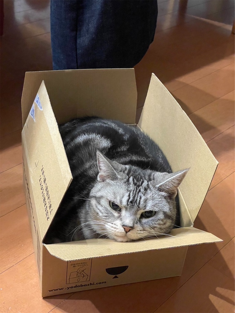 f:id:tsukky8832534:20231130232850j:image f:id:tsukky8832534:20231130232850j:image