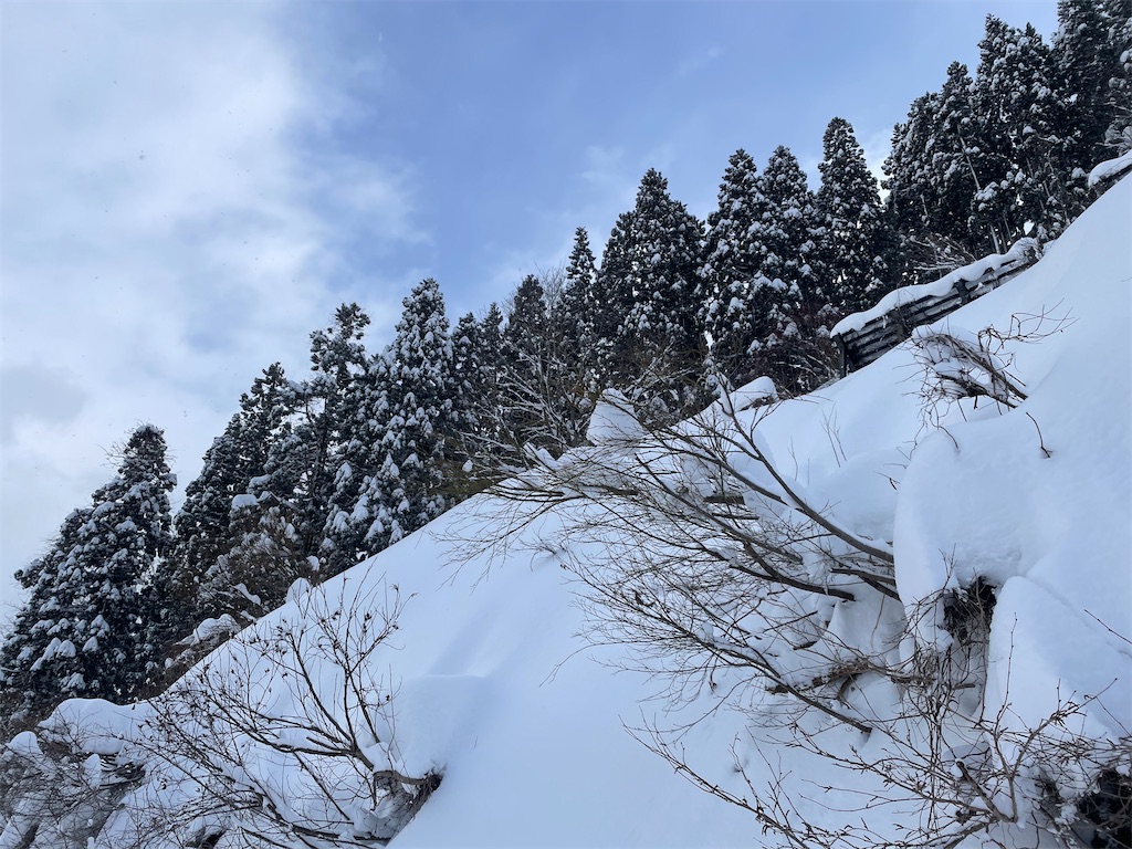 f:id:tsukky8832534:20240312233451j:image