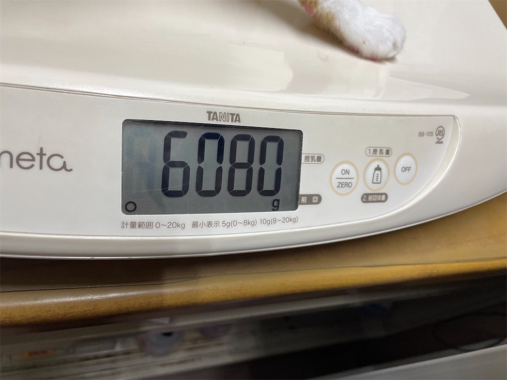 f:id:tsukky8832534:20240318070704j:image f:id:tsukky8832534:20240318070704j:image