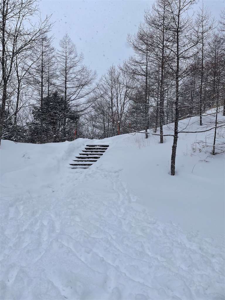 f:id:tsukky8832534:20240320212836j:image f:id:tsukky8832534:20240320212836j:image