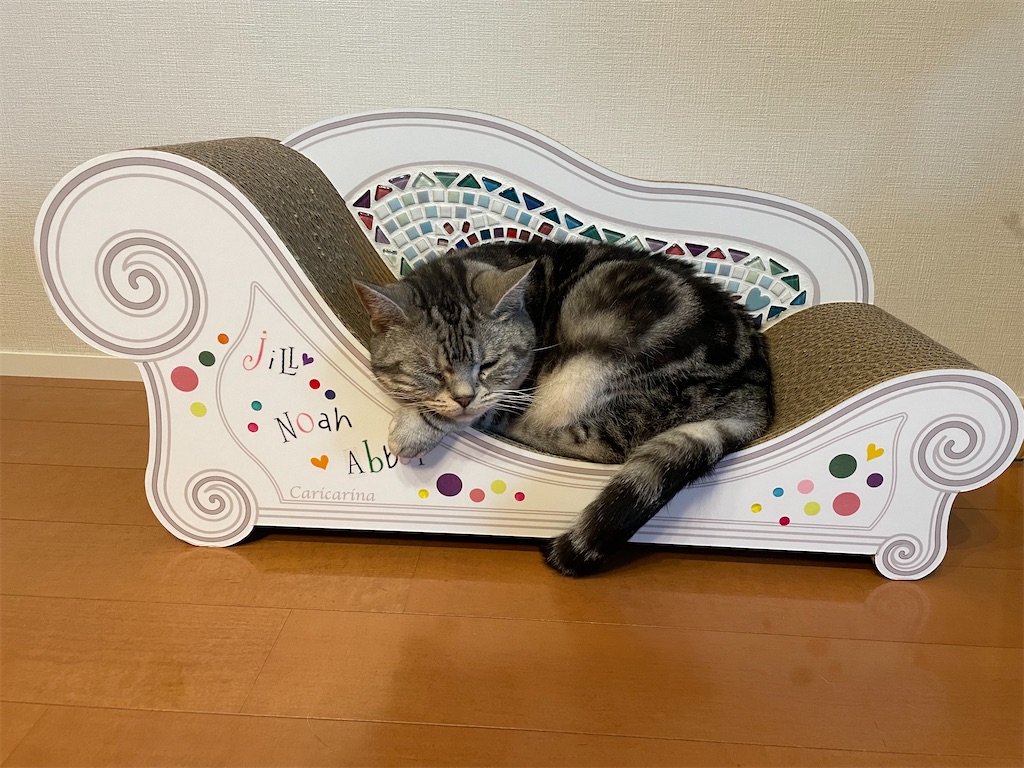 f:id:tsukky8832534:20240701234412j:image f:id:tsukky8832534:20240701234412j:image