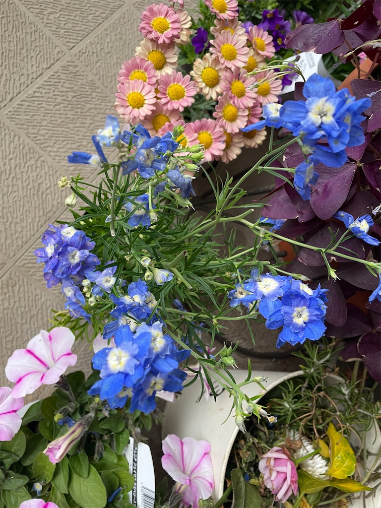 f:id:tsukky8832534:20240821161637j:image
