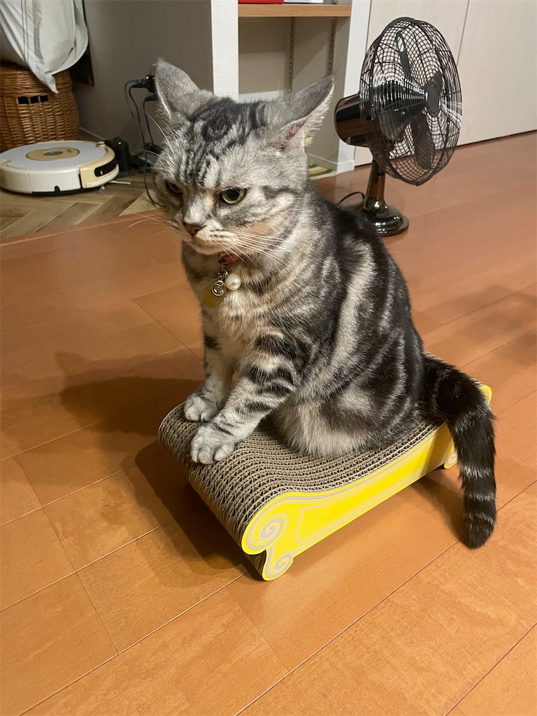 f:id:tsukky8832534:20240913003003j:image