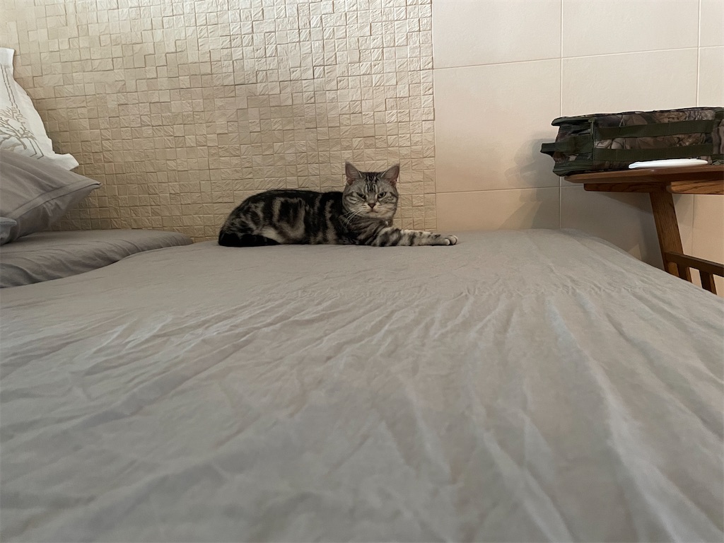 f:id:tsukky8832534:20241006230420j:image