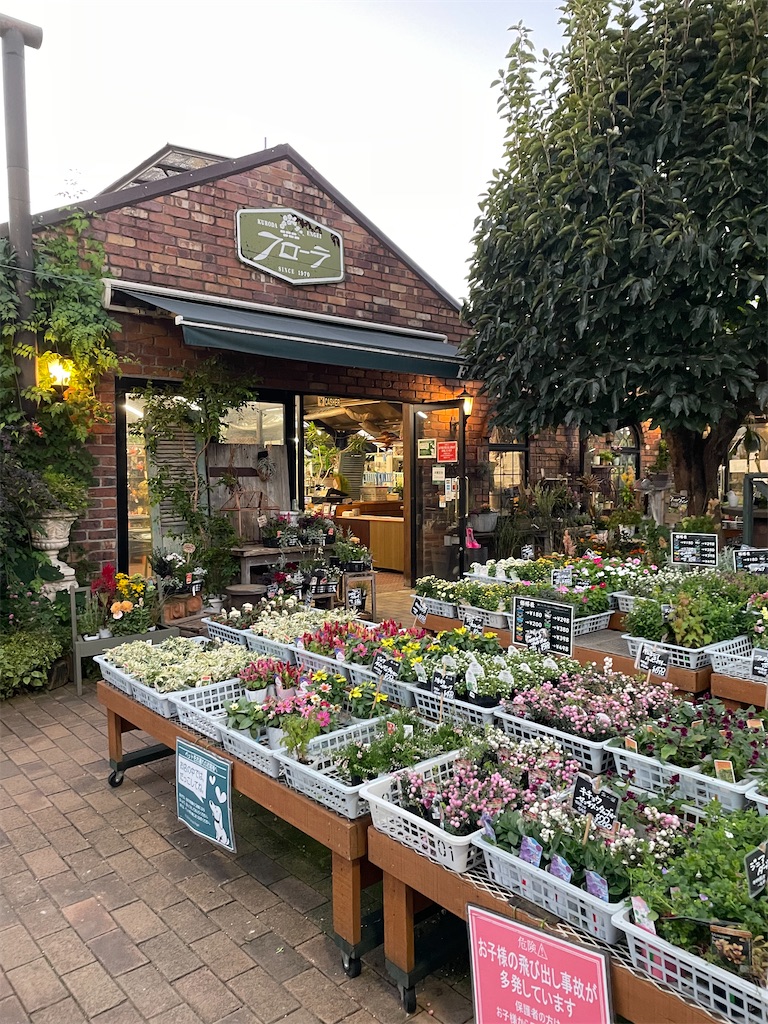 f:id:tsukky8832534:20241015235819j:image f:id:tsukky8832534:20241015235819j:image