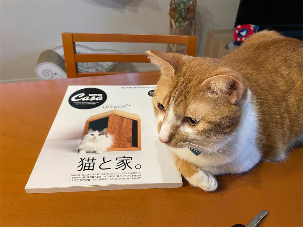 f:id:tsukky8832534:20251020232022j:image