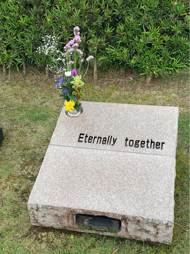 f:id:tsukky8832534:20260704232059j:image f:id:tsukky8832534:20260704232059j:image