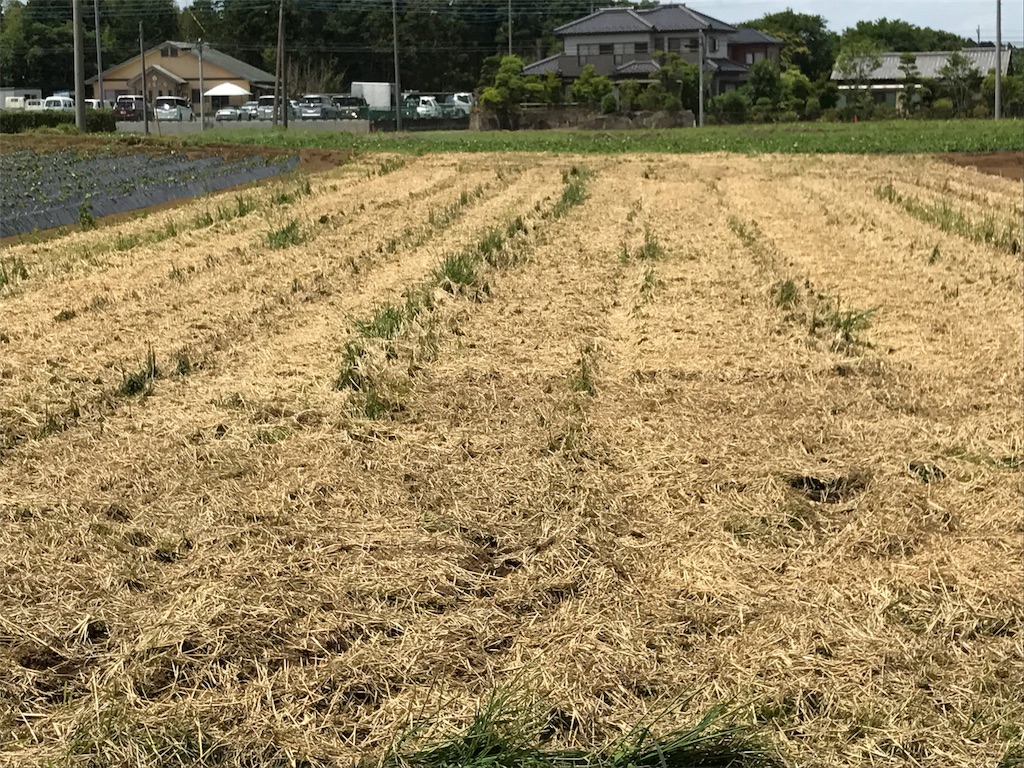 f:id:tsukuba-k:20170625112210j:image f:id:tsukuba-k:20170625112210j:image