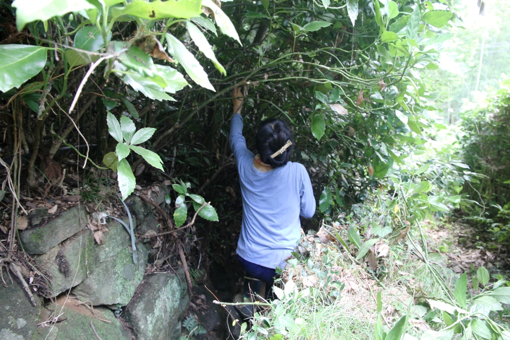 f:id:tsukubanomizu:20190824213522j:plain