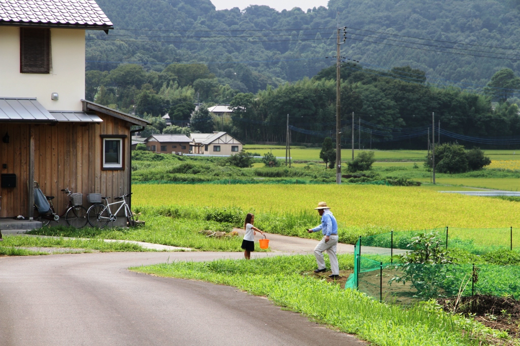 f:id:tsukubanomizu:20190824220217j:plain