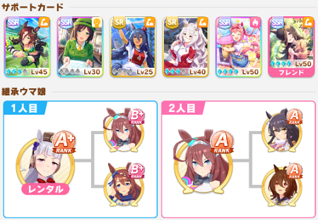 スピ9ナリタタイシンの育成情報
