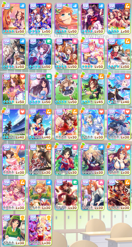 所持SSRサポカ一覧
