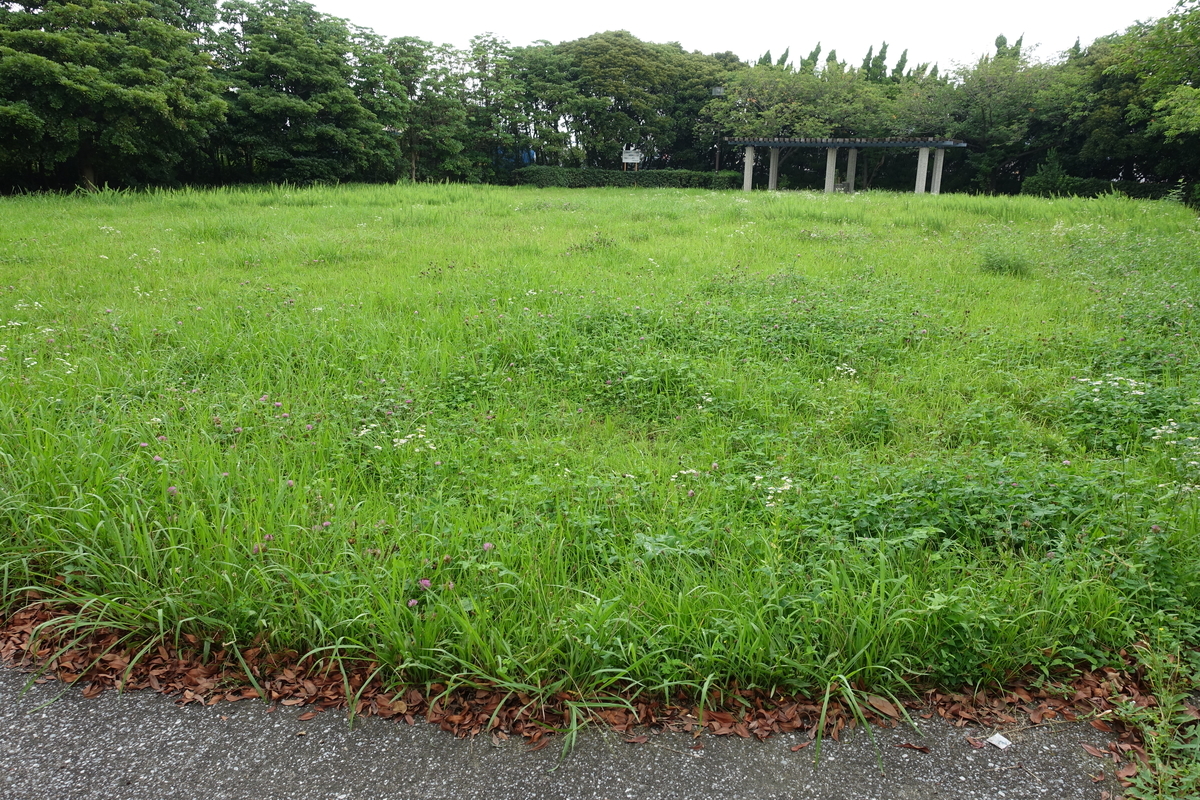 f:id:tsukumoya99:20190804075920j:plain f:id:tsukumoya99:20190804075920j:plain