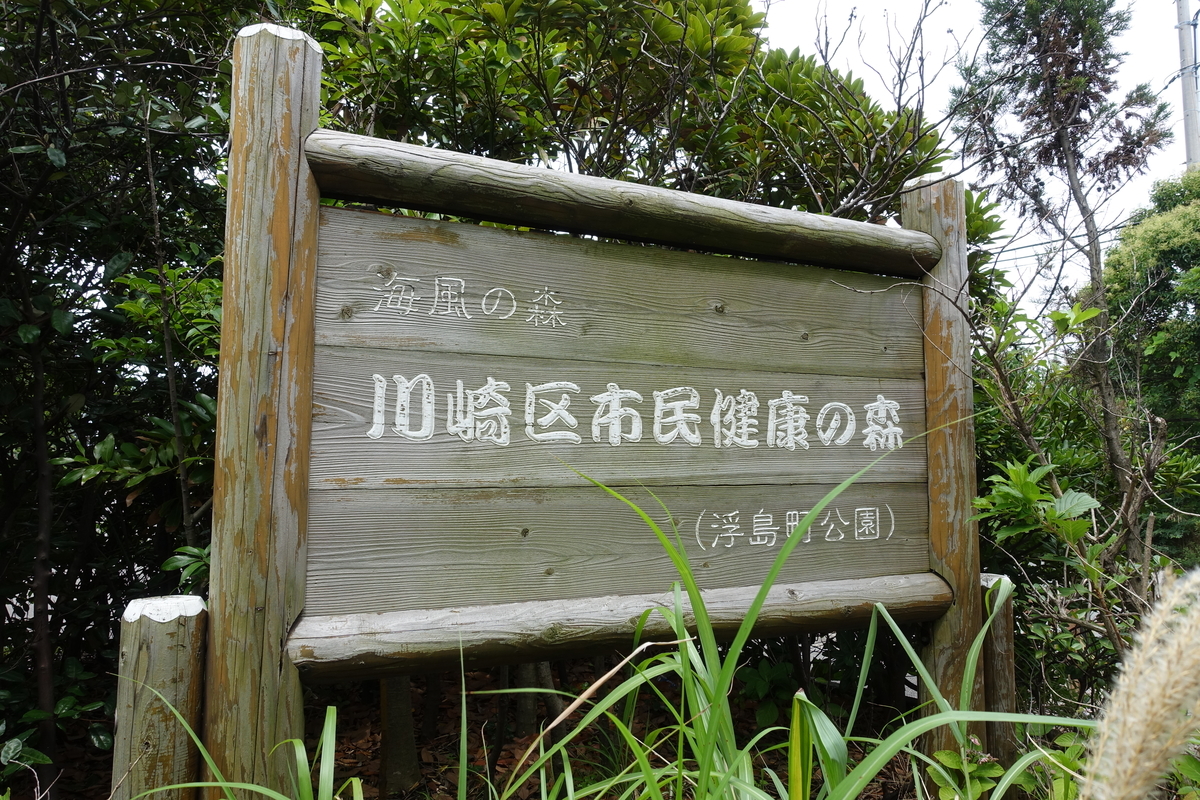 f:id:tsukumoya99:20190804083328j:plain f:id:tsukumoya99:20190804083328j:plain