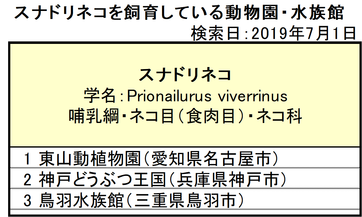 スナドリネコのいる動物園水族館は 飼育展示施設とスナドリネコ情報まとめ アリエスコム Ariescom