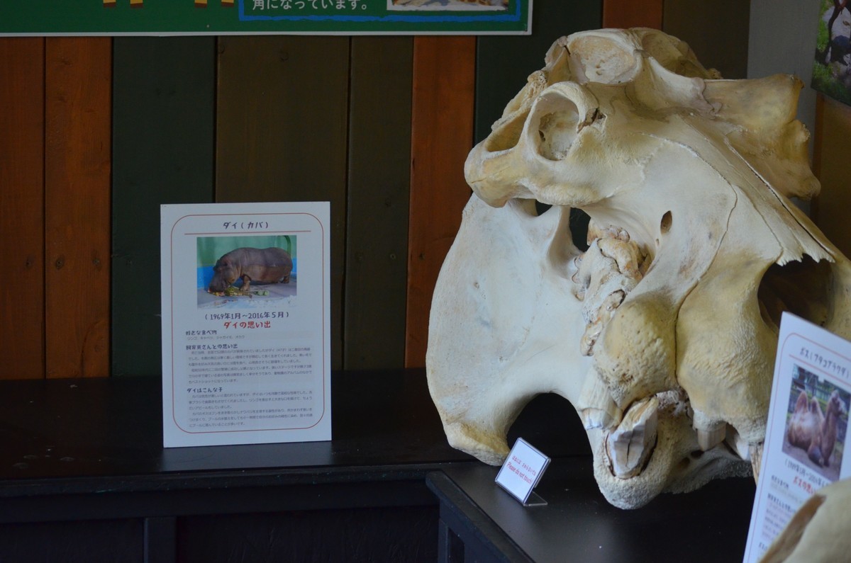 f:id:tsukunepapa:20200813120954j:plain