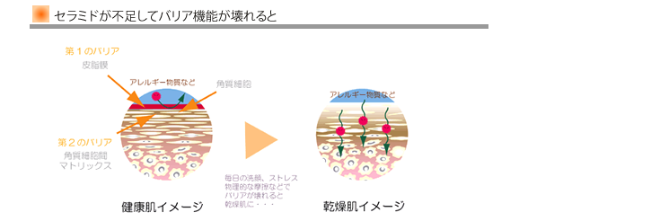 f:id:tsukunyan:20161118151347p:plain