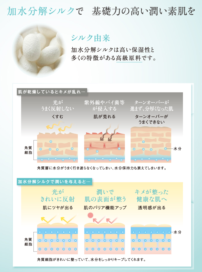 f:id:tsukunyan:20161128142944j:plain