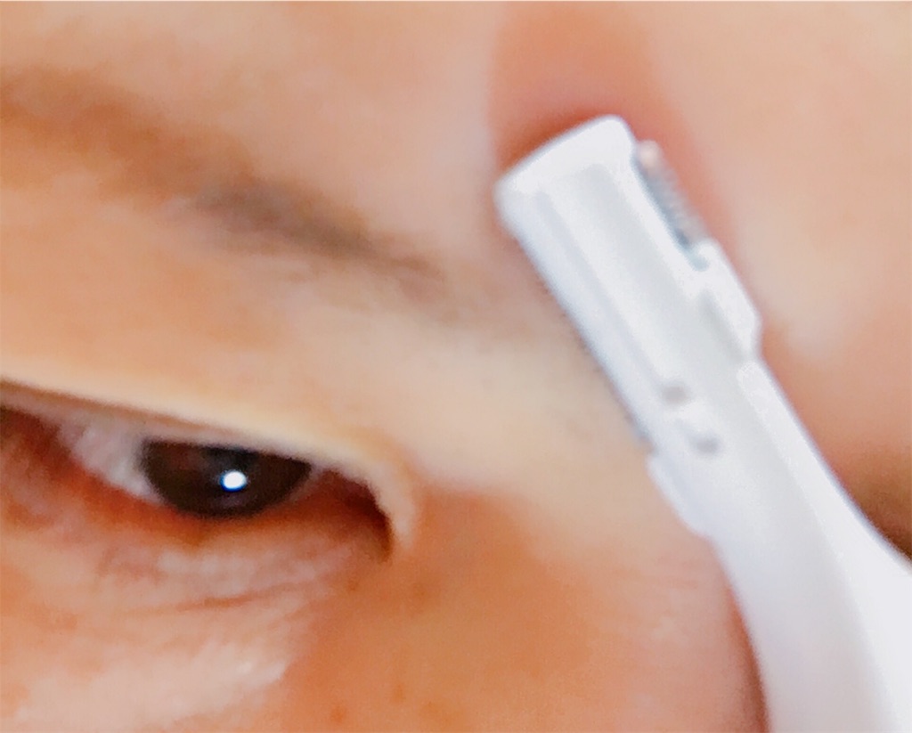 f:id:tsukunyan:20170218142614j:plain