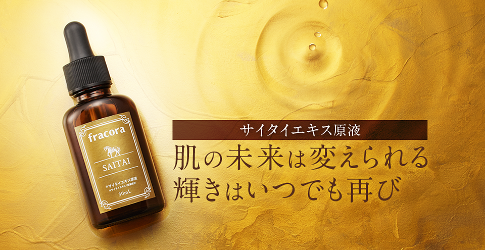 f:id:tsukunyan:20170311012919p:plain