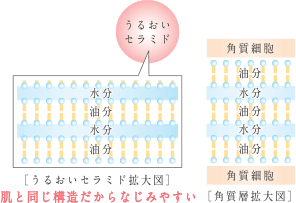 f:id:tsukunyan:20170626141306p:plain