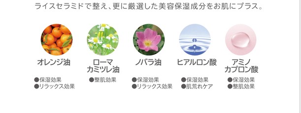 f:id:tsukunyan:20170702155607j:plain