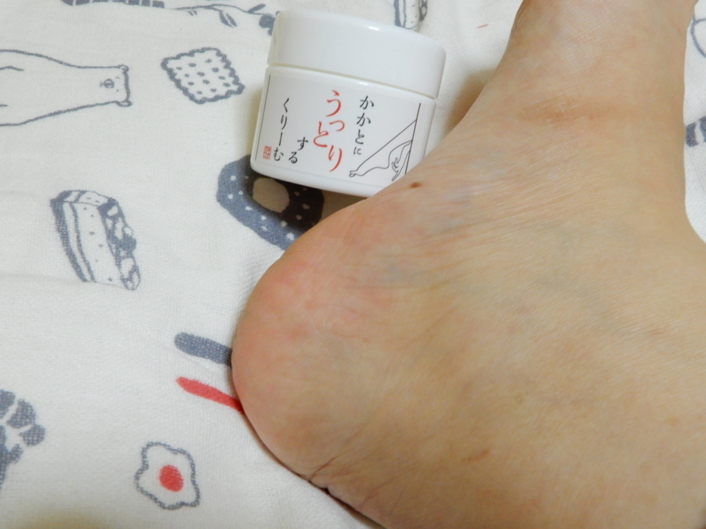 f:id:tsukunyan:20171124002127j:plain