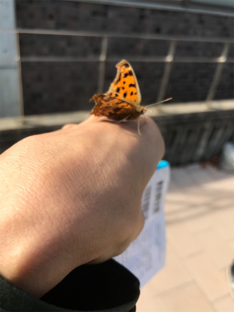 f:id:tsukuru_soushi:20181117011207j:image f:id:tsukuru_soushi:20181117011207j:image