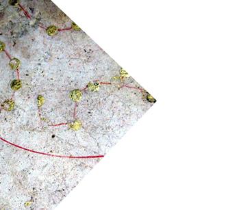 f:id:tsukurukaiwatch:20100630020006j:image