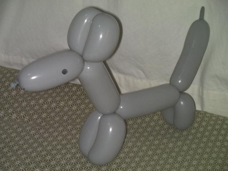 個別 風船の犬1 の写真 画像 Tsukurukana S Fotolife 個別 風船の犬1 の写真 画像 Tsukurukana S Fotolife