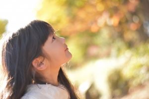 f:id:tsukuruno:20190518153926j:plain f:id:tsukuruno:20190518153926j:plain