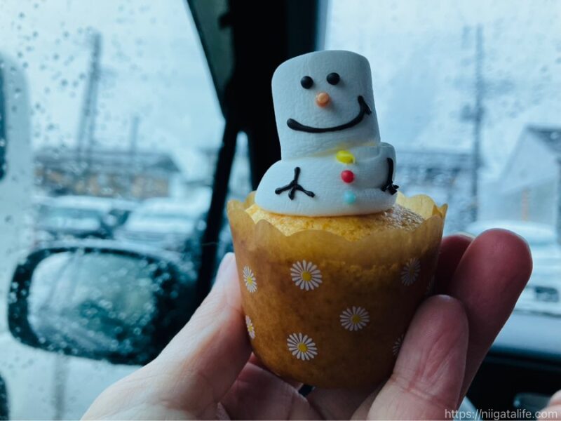 牧之通りを幻想的に照らす雪国らんたん