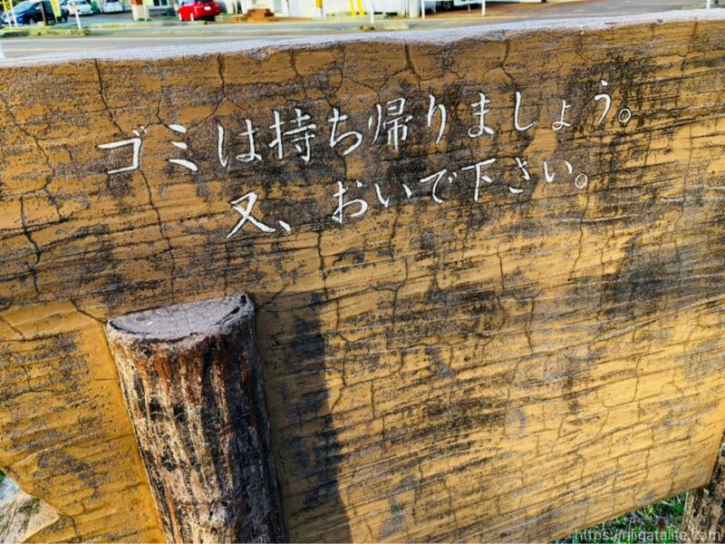 小千谷 ぽっぽの里の桜が満開！