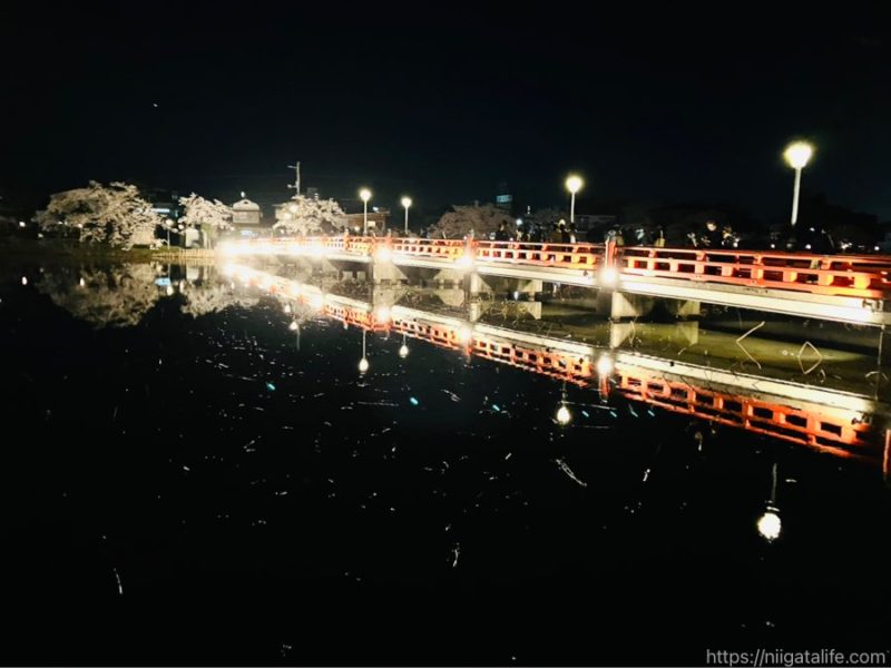 日本3大夜桜 高田城址公園観桜会へ！4/1のようす