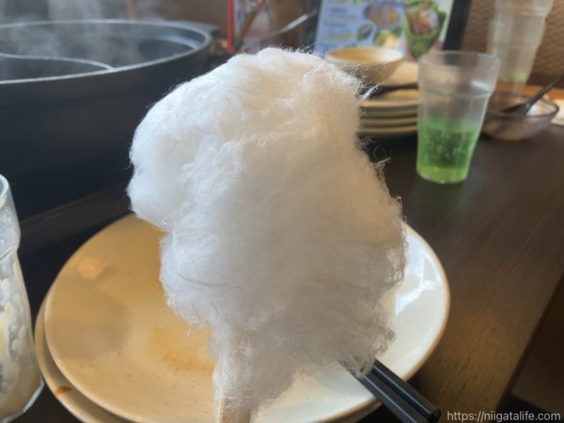 しゃぶ葉1000円ランチ初体験！家族3人で食べた物