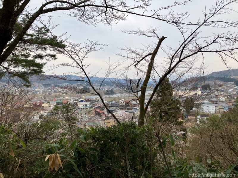 小千谷市内3か所の桜スポットを巡ってみました