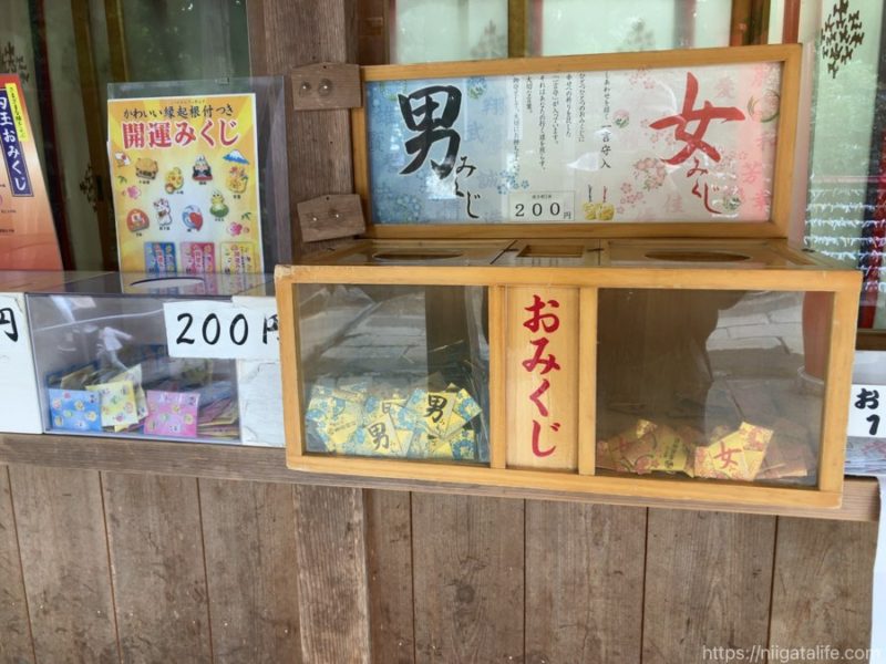 長岡の蒼柴神社と悠久山公園の桜を