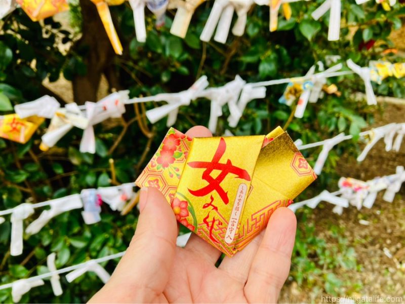 長岡の蒼柴神社と悠久山公園の桜を