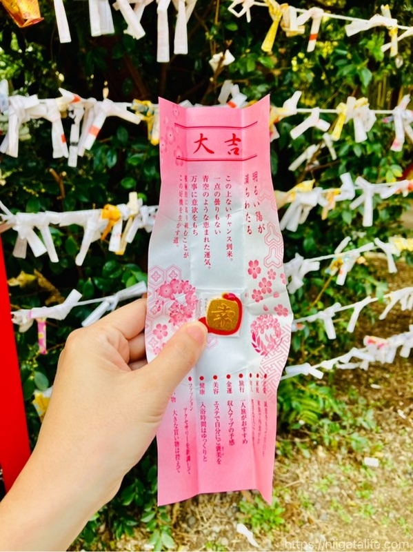 長岡の蒼柴神社と悠久山公園の桜を