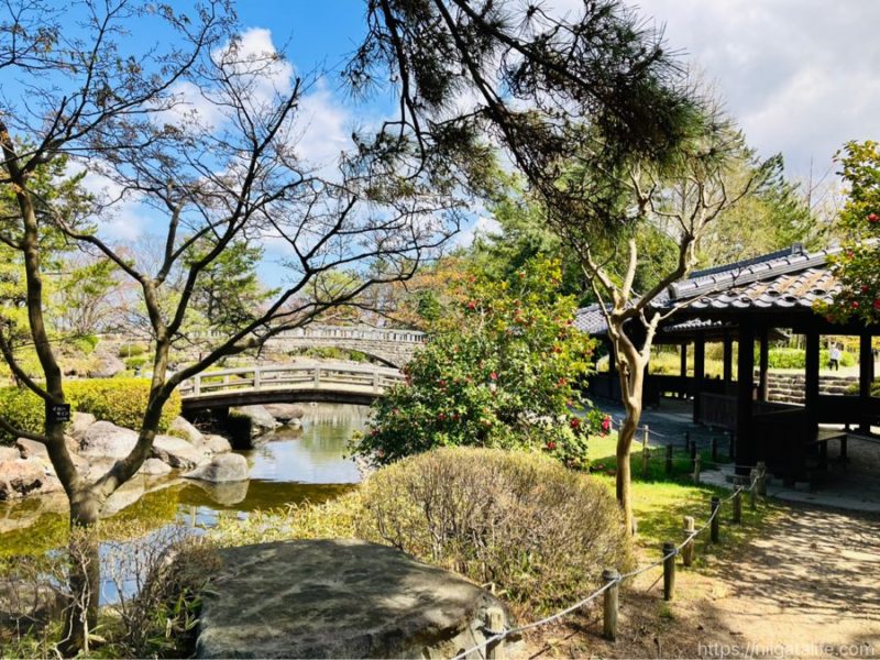 鳥屋野潟公園鐘木エリア