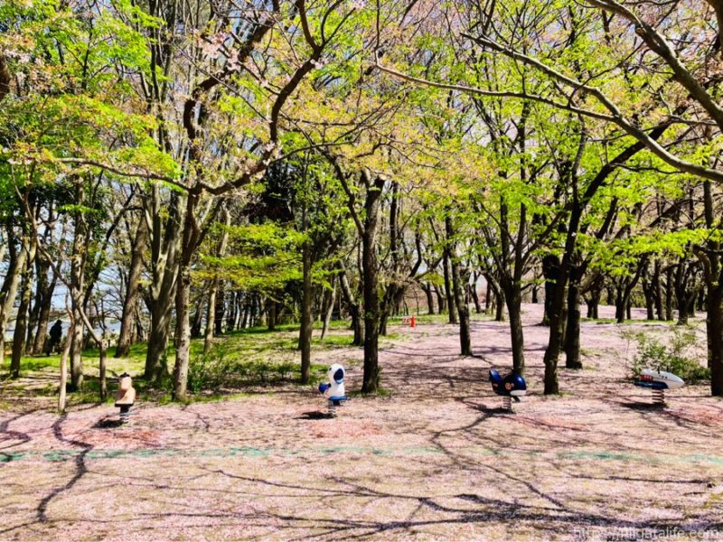 鳥屋野潟公園鐘木エリア