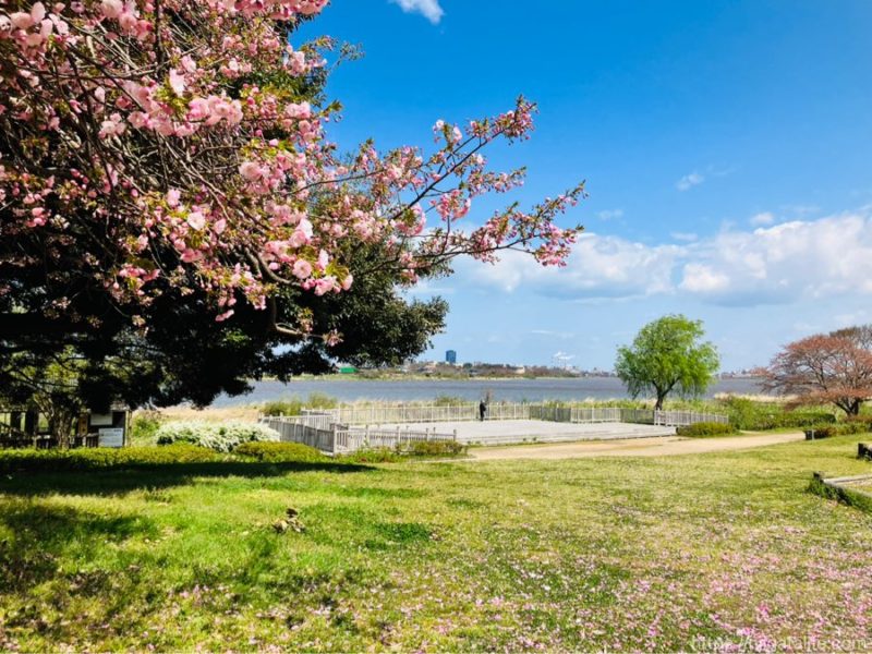 鳥屋野潟公園鐘木エリア