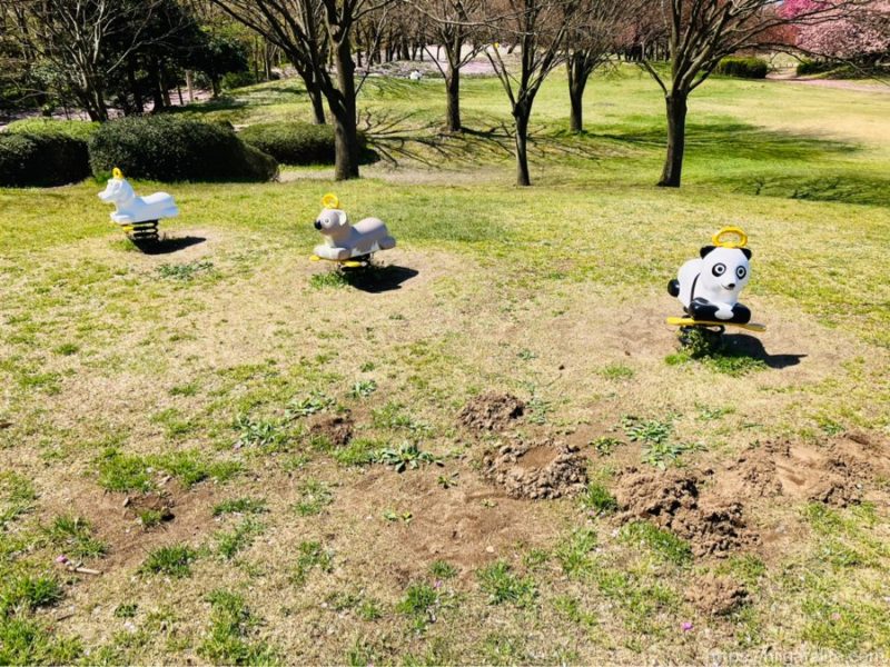 鳥屋野潟公園鐘木エリア