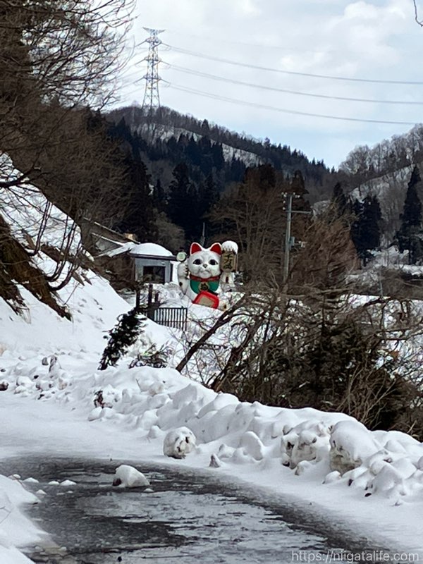 謎・巨大招き猫