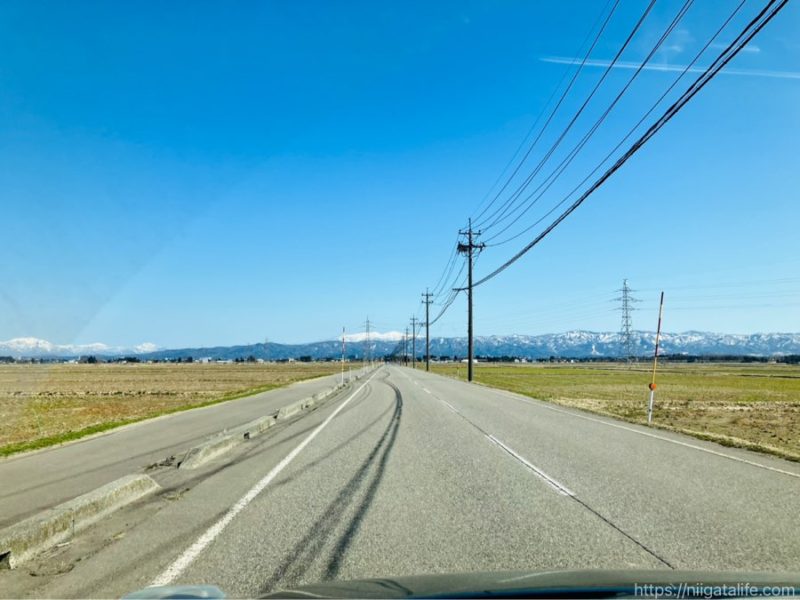 柳味噌でみそ詰め放題に挑戦！