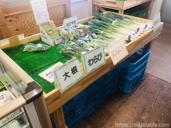 【小千谷・野菜直売所】けやきぱーくさんの店内が広くなりました！