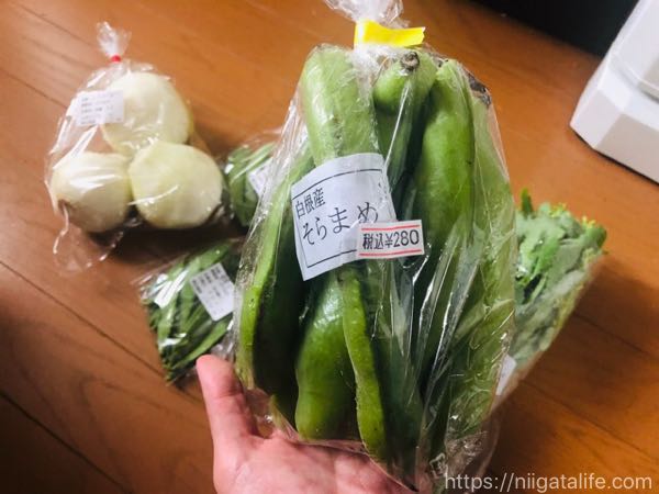 【小千谷・野菜直売所】けやきぱーくさんの店内が広くなりました！