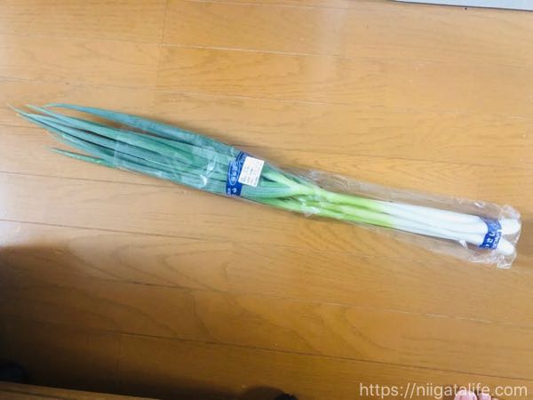 【小千谷・野菜直売所】けやきぱーくさんの店内が広くなりました！