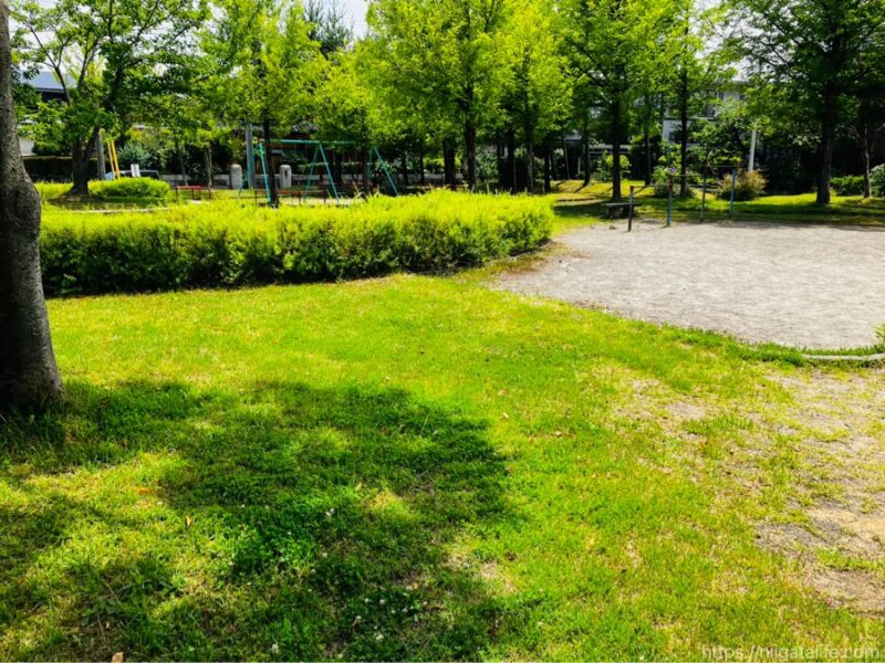 さざえ公園