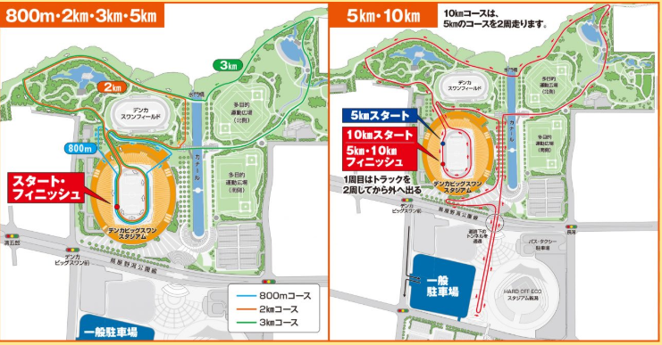 【大会レポ】第13回親子ふれあいマラソン開催！2歳児でもビッグスワンで走れるチャンス！